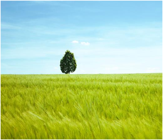 華邦瀛科技 華邦瀛科技