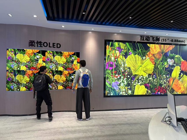 法國(guó)客戶組團(tuán)到華邦瀛學(xué)習(xí)LED顯示屏維修的真實(shí)經(jīng)歷